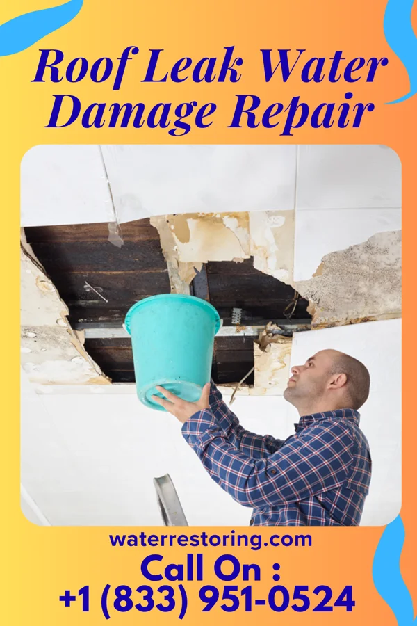 Roof Leak Water Damage Repair in Union Park, FL