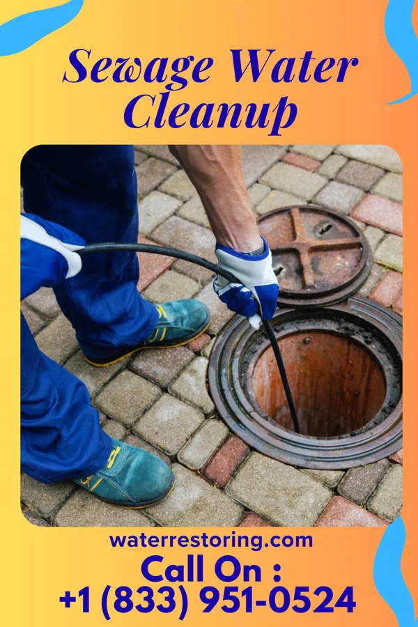 Sewage Water Cleanup in Union Park, FL